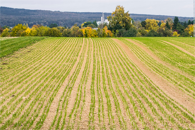 Landwirtschaftliche Flächen