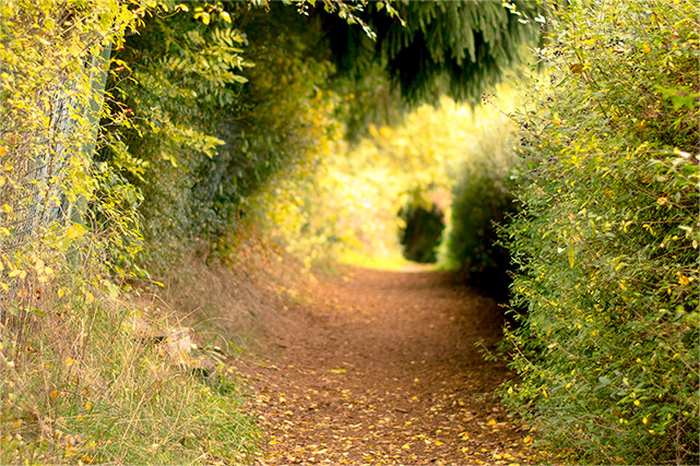 Spazierweg an der Landwehr in Oberstedten