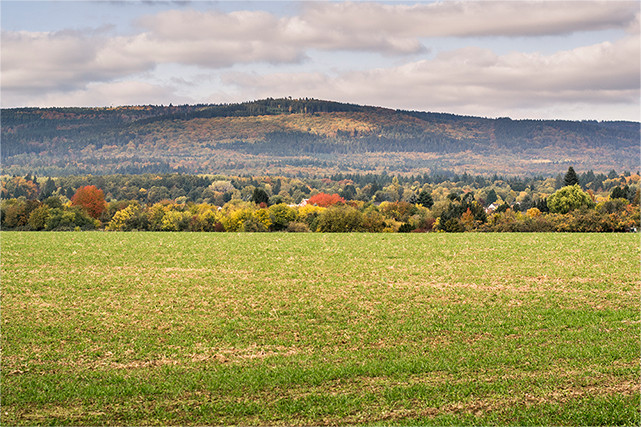 Blick vom Oberstedter Feld auf den Herzberg