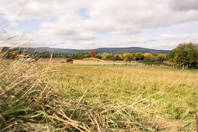 Landwirtschaftlich genutzte Ackerfläche am Ortsrand von Oberstedten